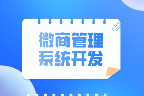 微商管理系统开发有什么优势