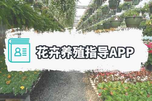 花卉养殖指导APP涵盖哪些功能(图1)