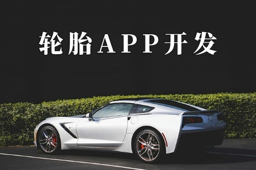 轮胎app的功能及优势有哪些(图1)