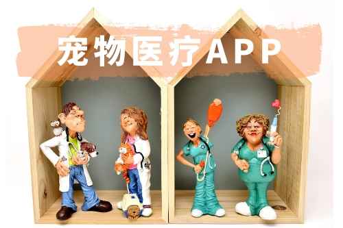 宠物医疗APP开发有哪些功能(图1)