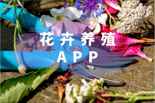 花卉养殖APP有什么功能
