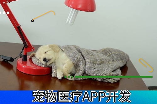 德州宠物医疗APP开发有什么功能模块(图1)