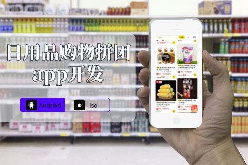 日用品购物拼团app开发解决方案(图1)