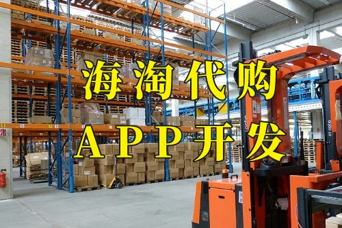 海淘代购app开发功能及优势(图2)