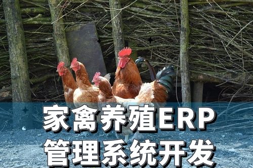 家禽养殖行业ERP管理系统开发有哪些好处(图2)