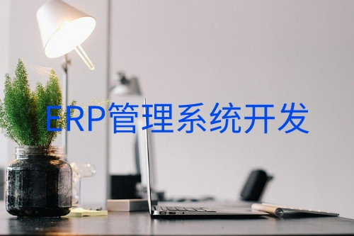 德州erp管理系统开发(图1)