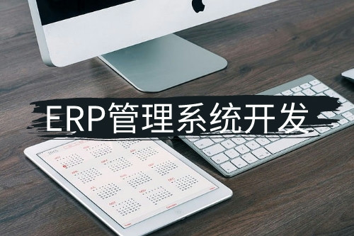 德州erp管理系统开发(图2)