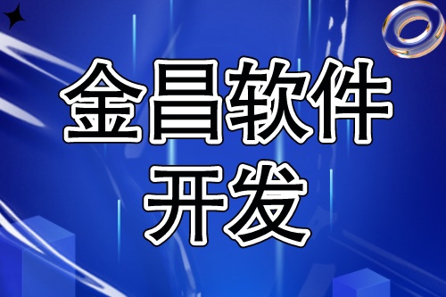 金昌软件开发，丰富互联网信息化项目服务经验(图2)
