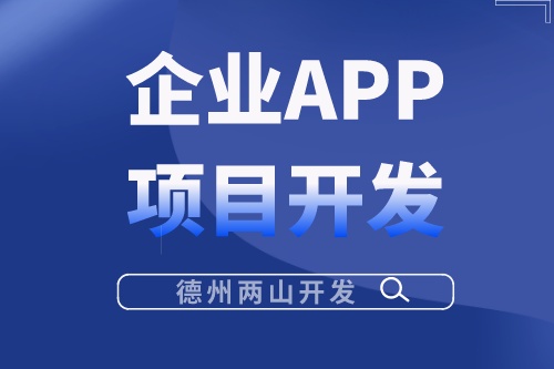 影响企业APP项目开发费用的因素有哪些？