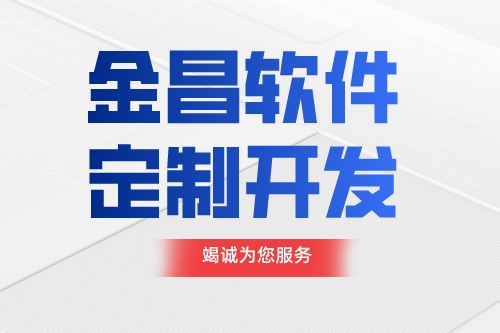 金昌软件定制开发前需要准备什么