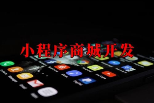 湖北小程序商城开发实现线上线下一体化运营(图1)