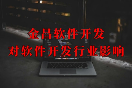 金昌软件开发对软件开发行业的影响及发展趋势