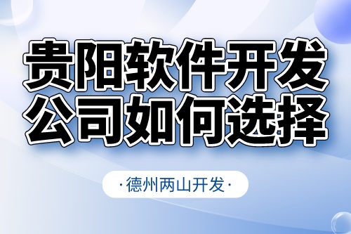 贵阳软件开发公司如何选择