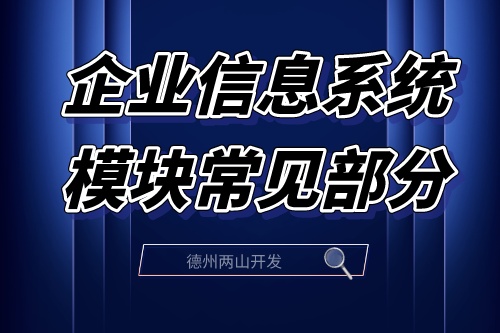 企业信息系统模块常见部分的概括介绍(图2)