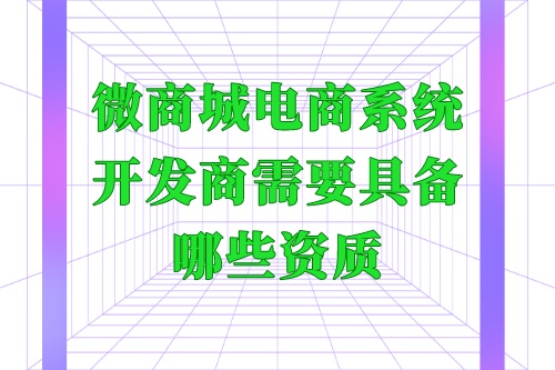 微商城电商系统开发商需要具备哪些资质