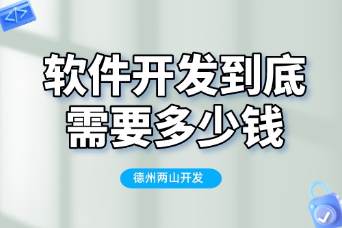 软件开发到底需要多少钱？揭秘软件公司真实报价(图2)