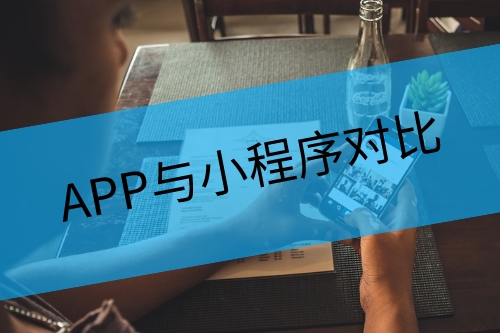 APP与小程序对比